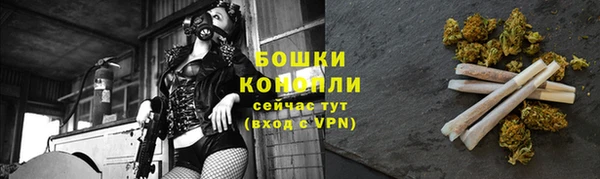 шишки Нея