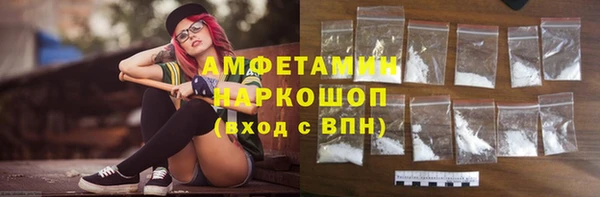 шишки Нея