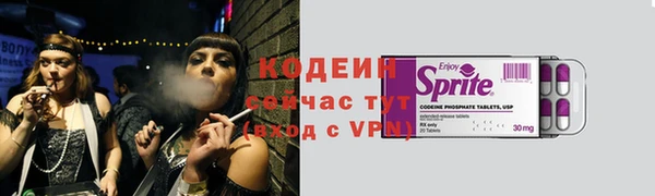 индика Болотное