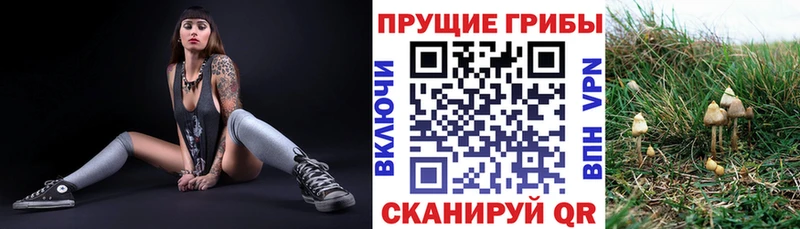 Псилоцибиновые грибы GOLDEN TEACHER  Чебоксары 