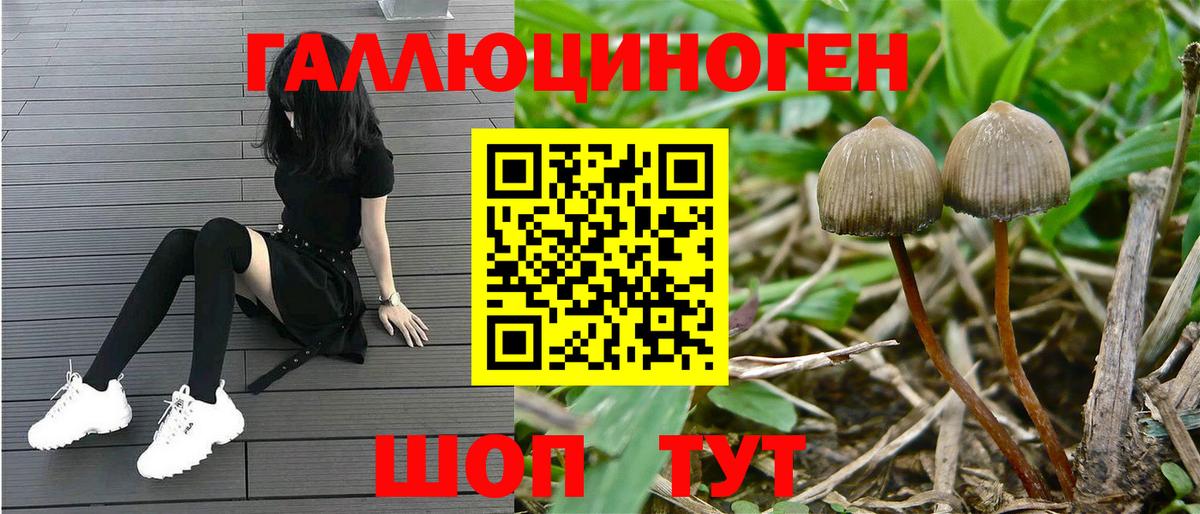Галлюциногенные грибы мухоморы Чебоксары