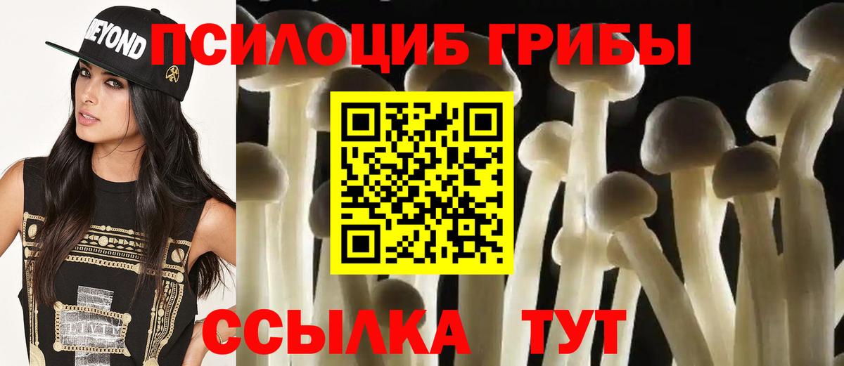 Галлюциногенные грибы MAGIC MUSHROOMS  Псилоцибиновые грибы Magic Shrooms  Чебоксары  Вход с VPN 